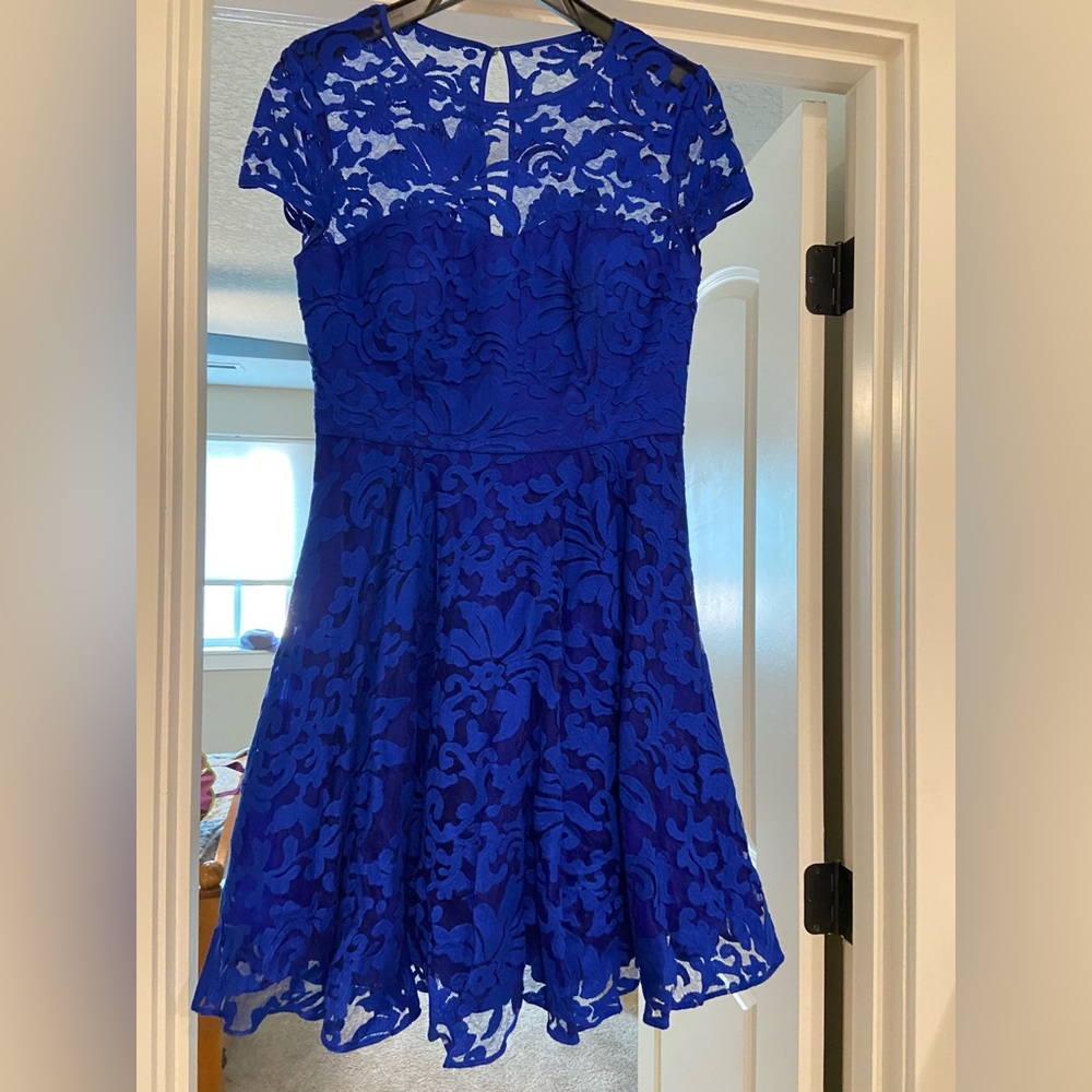 Beautiful lace detail Ted Baker London Dress